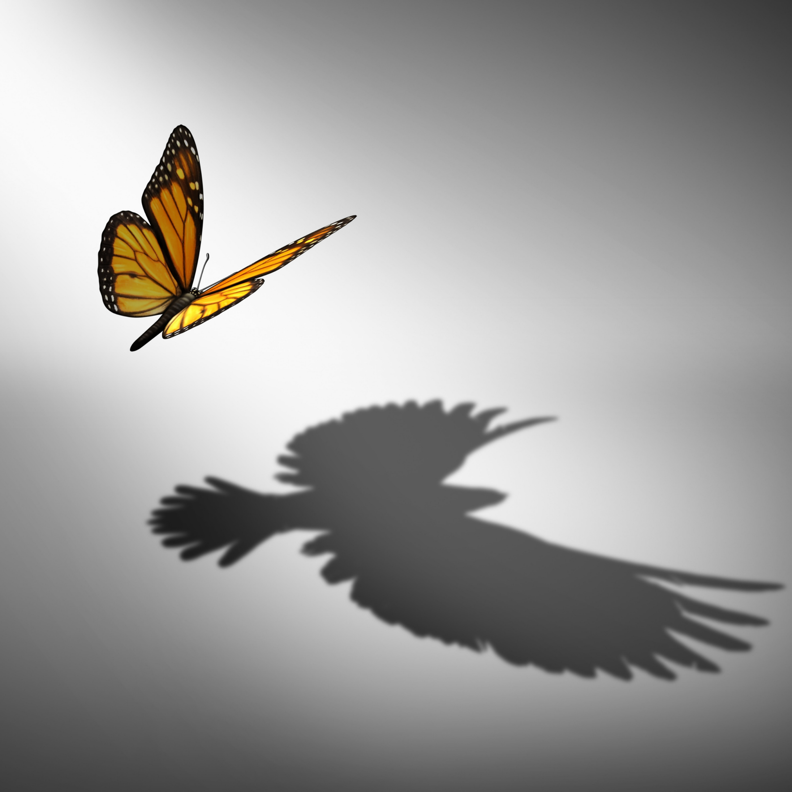 Wakeupcall Images 2 Scaled